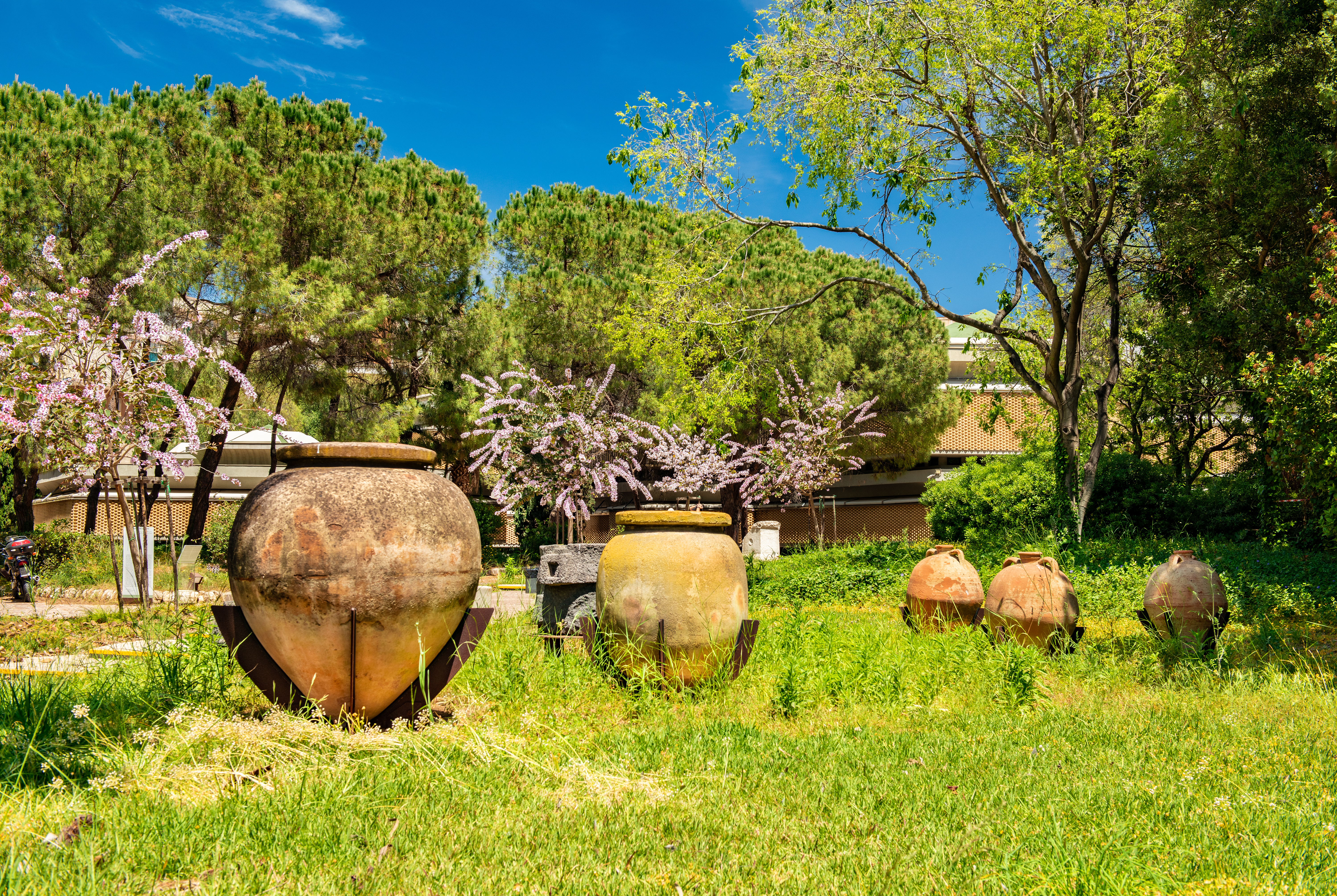 Plant Milestone Trees, Memory Trees In Italy & Sicily