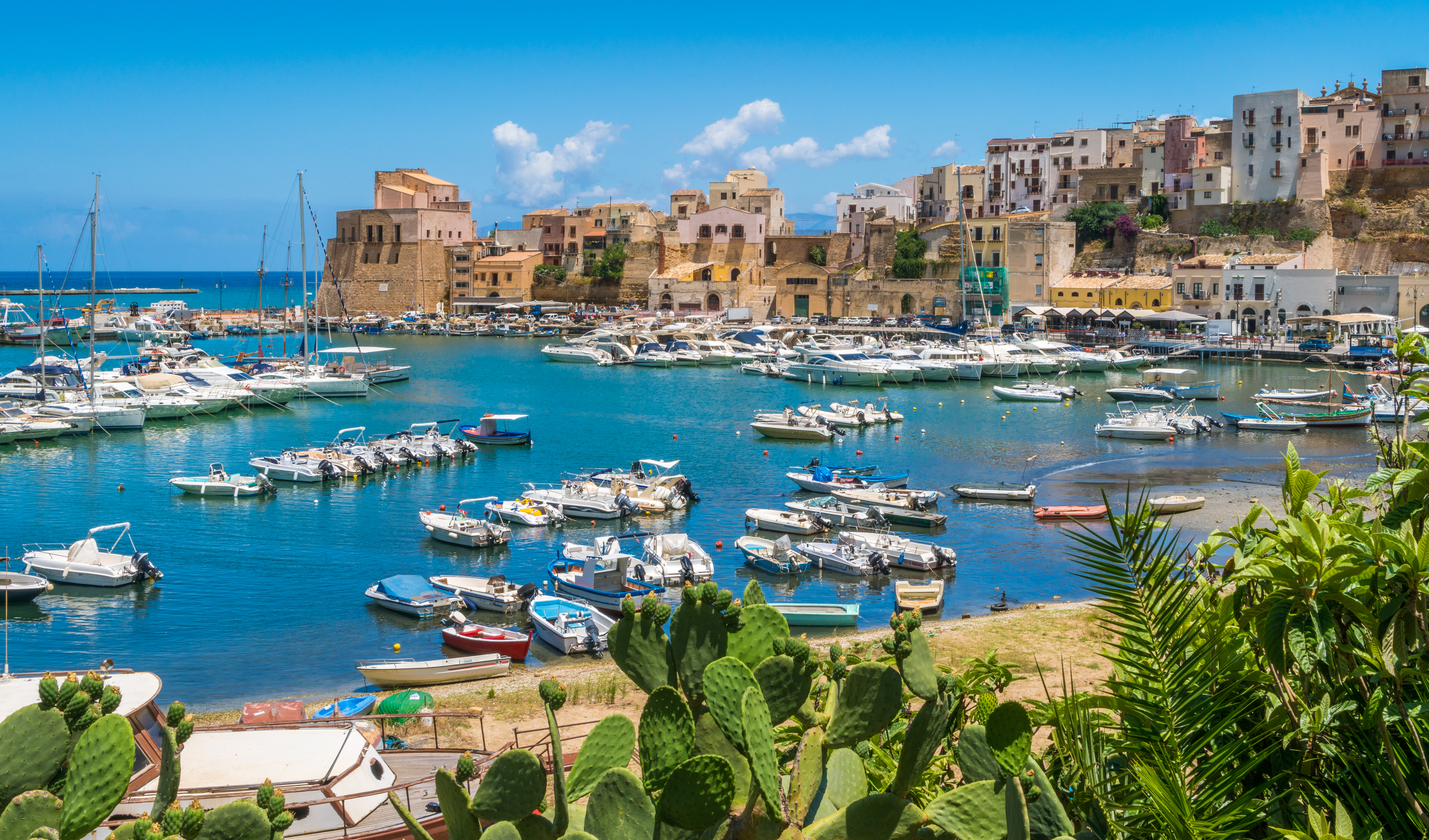 Castellammare del Golfo Sicilian Olive Groves