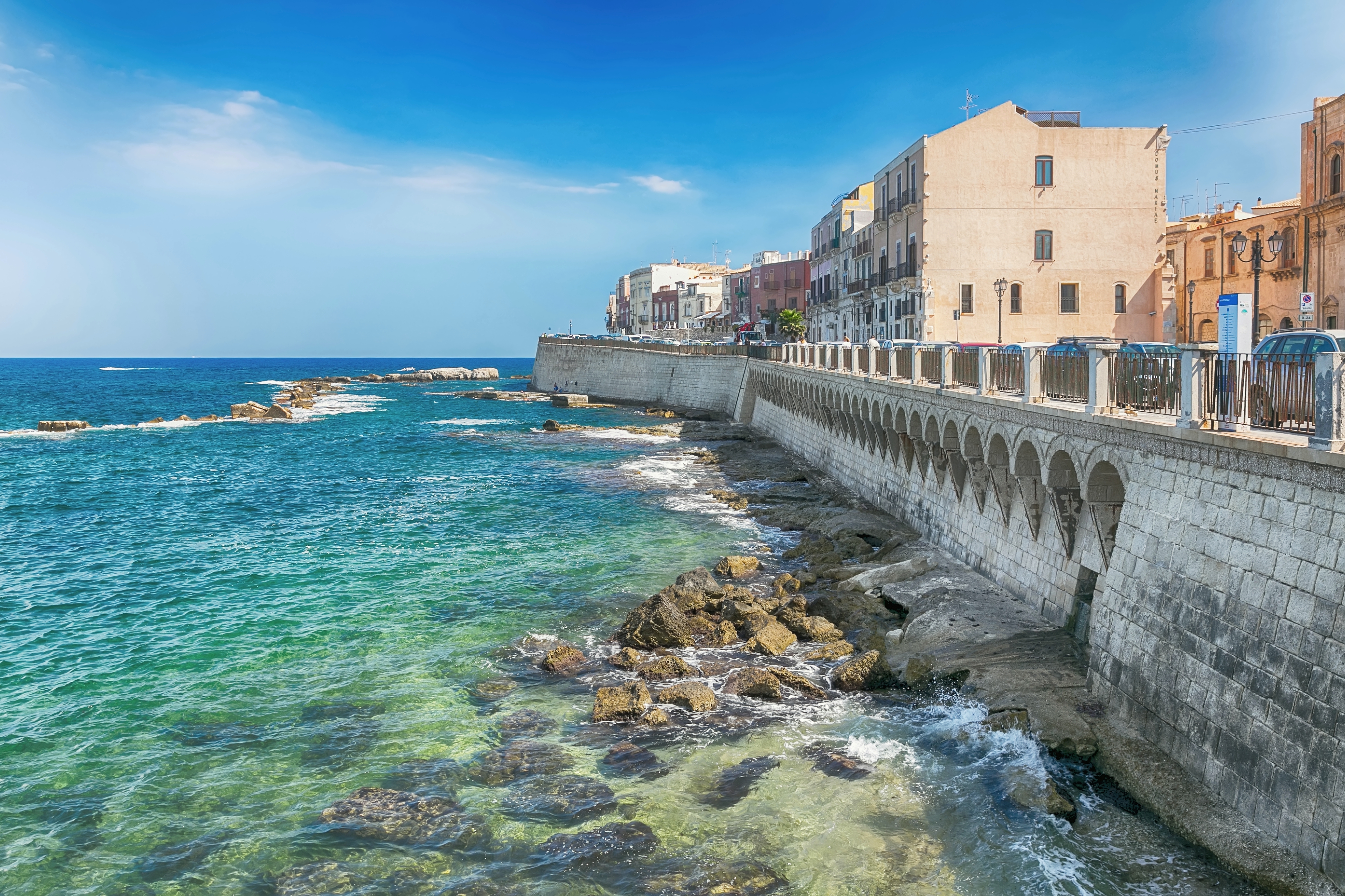 Olive Trees Planted in Syracuse, Sicily as a Memorial and Celebrations